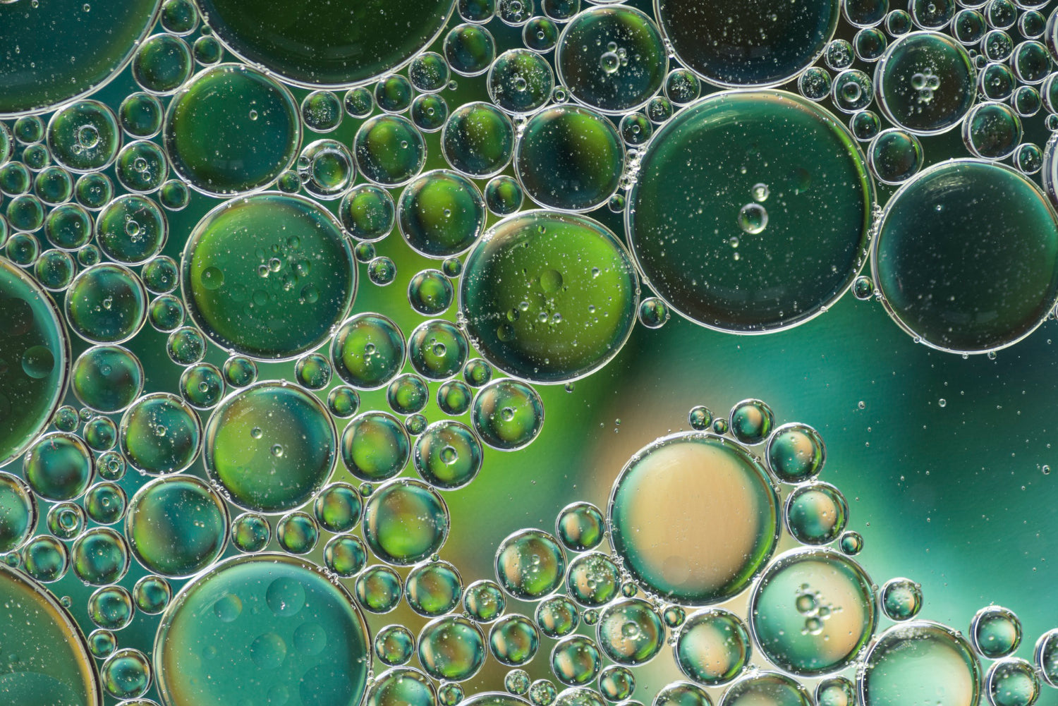 Bioavailability Explained: How Delivery Systems Influence Active Ingredient Uptake