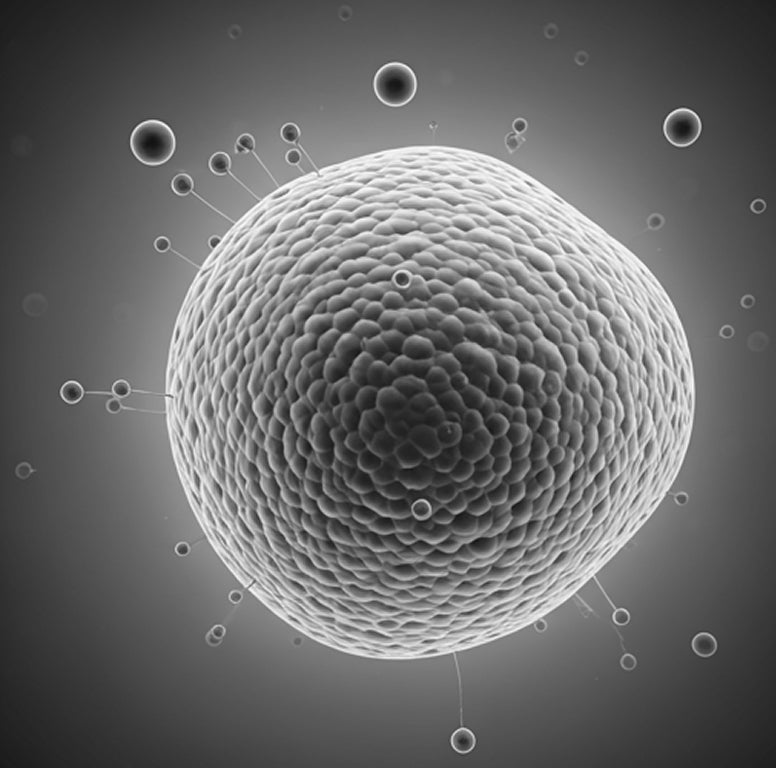 What Is Nano Delivery Technology? A Practical Guide for Product Formulators