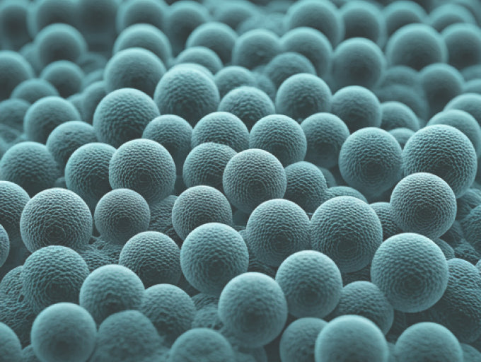 Why Particle Size Matters in Nano Formulations